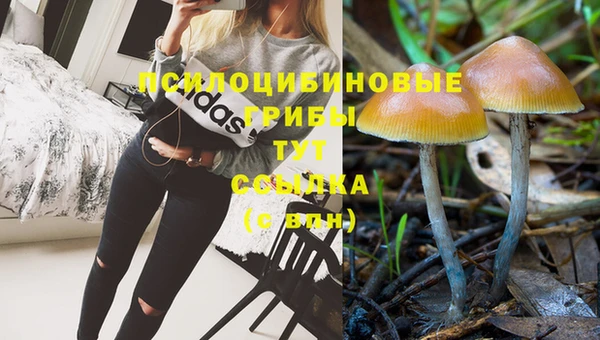 мет Аркадак