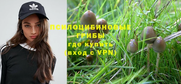 мет Аркадак