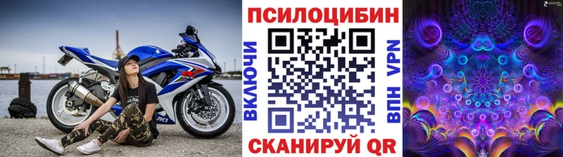 hydra зеркало Циолковский Галлюциногенные грибы прущие грибы купить закладку