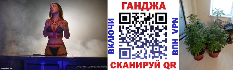 OMG маркетплейс  Циолковский  Канабис марихуана 